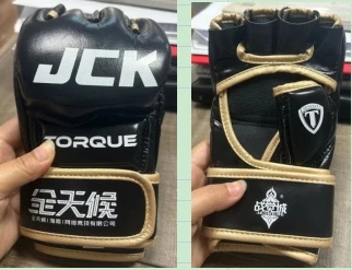 MMA Boxing hnab looj tes