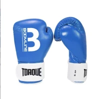 MMA Boxing Training hnab looj tes rau menyuam yaus