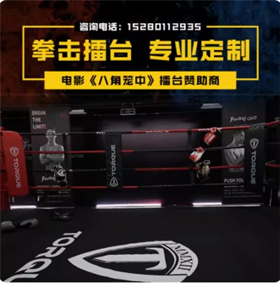 Octagon rau MMA